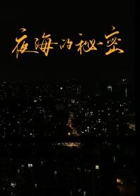 夜海