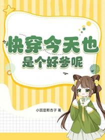 今天也是快穿界的泥石流(星韵)