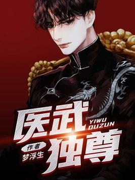 医武至尊人物